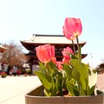 イキイキ推進委員会